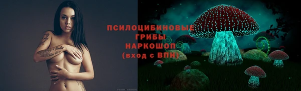 PSILOCYBIN Алзамай