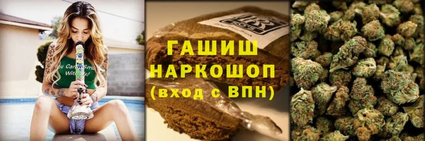 PSILOCYBIN Алзамай