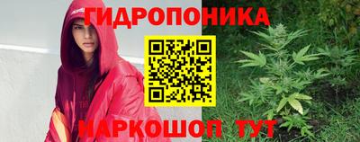 apvp Братск