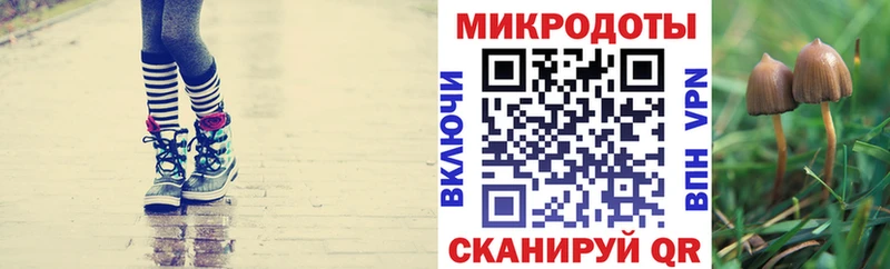 цена Каменск-Шахтинский Псилоцибиновые грибы ЛСД