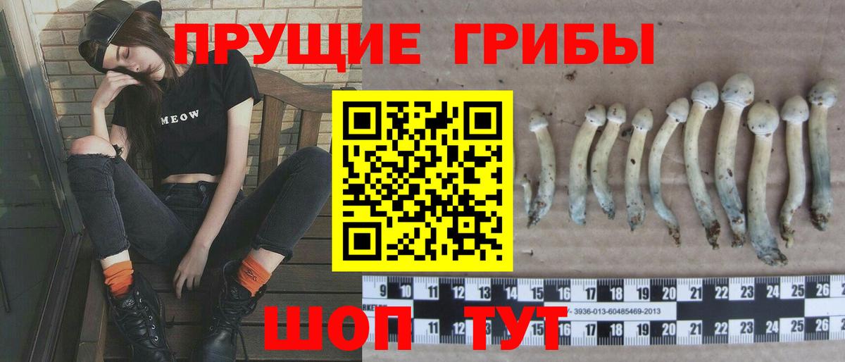 Каменск-Шахтинский  Галлюциногенные грибы Psilocybine cubensis  Вход с VPN 