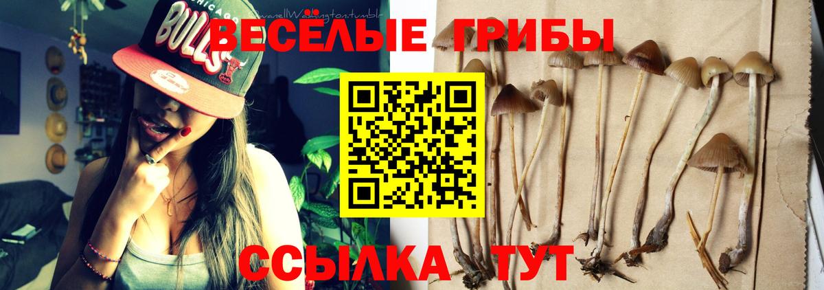 Галлюциногенные грибы мицелий Каменск-Шахтинский