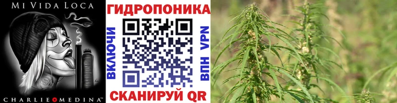 Шишки марихуана план  Каменск-Шахтинский 